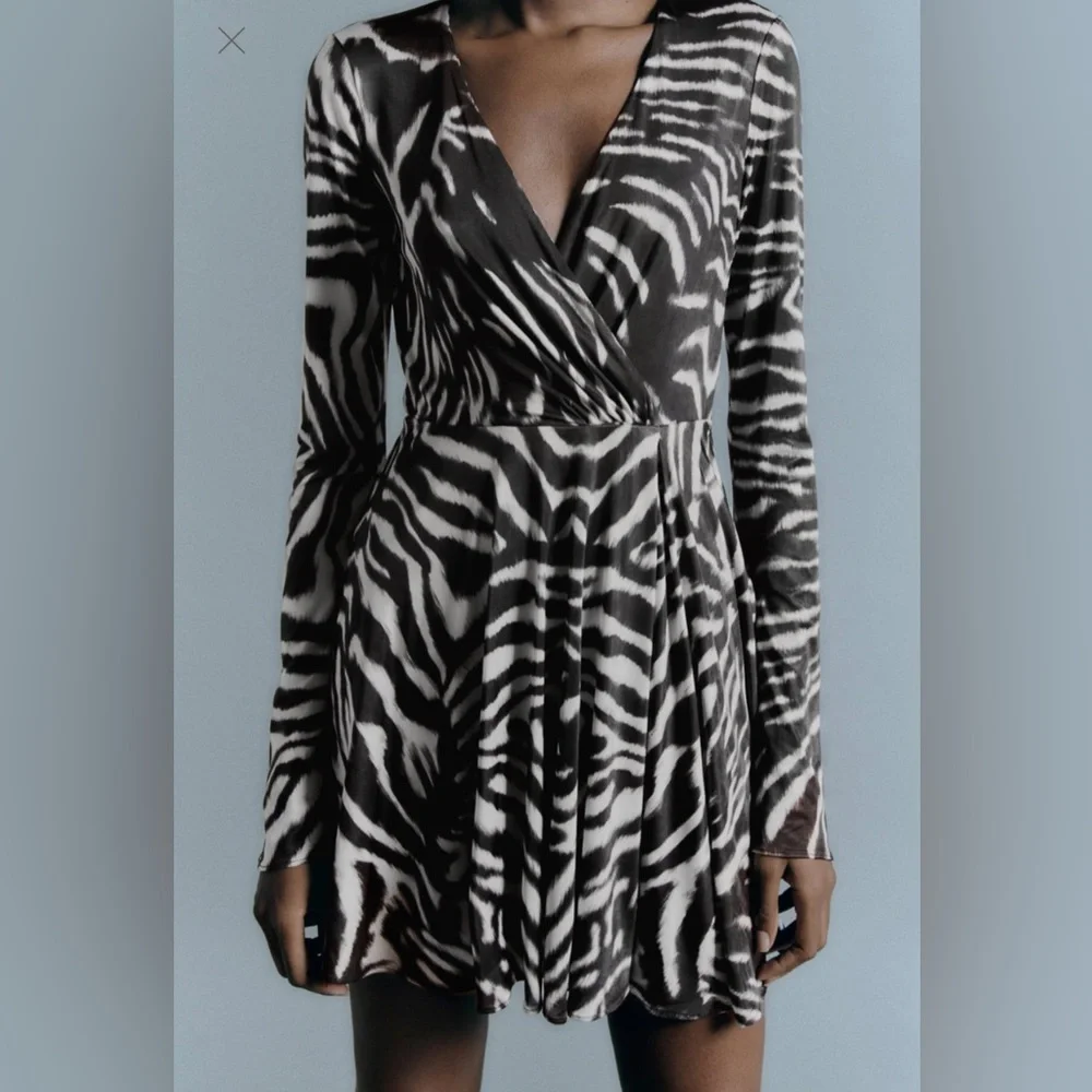 Zara - Zebra Printed Dress - Picture 2 of 8